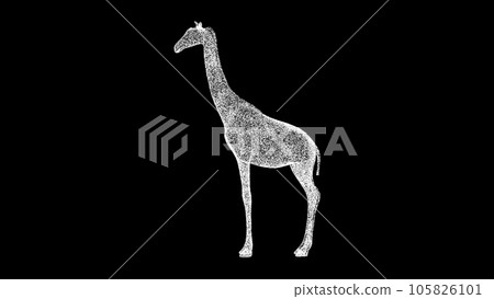 3D giraffe on black background. Object made of shimmering particles. Wild animals concept. Protection of the environment. For title, text, presentation. 3d animation. 105826101