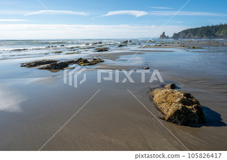 Shi Shi Beach and seashore in Olympic National Park, Washington. 105826417