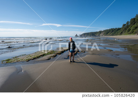 Woman hiking on Shi Shi Beach Trail in Olympic National Park, Washington. 105826420