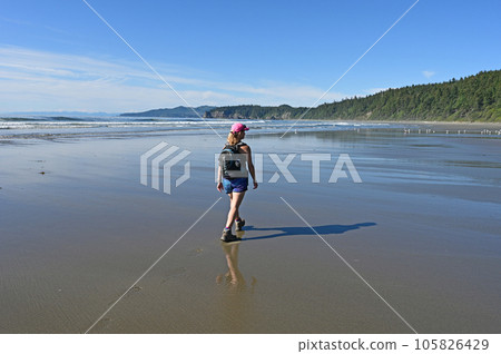 Woman hiking on Shi Shi Beach Trail in Olympic National Park, Washington. Woman hiking on Shi Shi Beach Trail in Olympic National Park, Washington. 105826429
