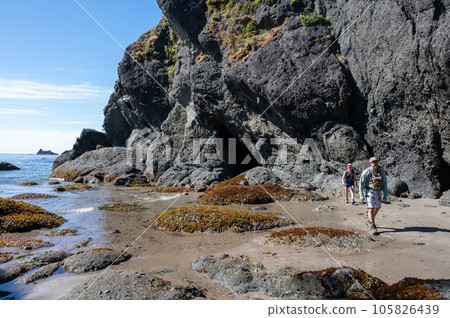 Hikers on at Point of Arches on Shi Shi Beach Trail near Neah Bay, Washington. 105826439