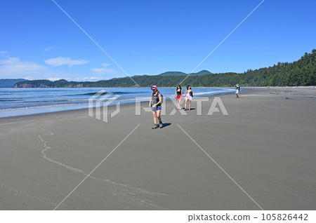 Hikers on Shi Shi Beach Trail near Neah Bay, Washington on sunny summer day. Hikers on Shi Shi Beach Trail near Neah Bay, Washington on sunny summer day. 105826442