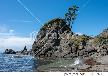 Hiker on sea rocks on Shi Shi Beach in Olympic National Park, Washington. 105826466