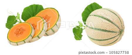Cantaloupe melon isolated on white background with full depth of field, 105827738