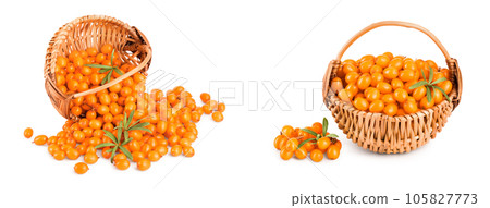 Sea buckthorn. Fresh ripe berry with leaves in wicker basket isolated on white background macro 105827773