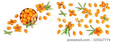 Sea buckthorn in wooden bowl. Fresh ripe berry with leaves isolated on white background with copy space for your text. Top view. Flat lay pattern 105827774