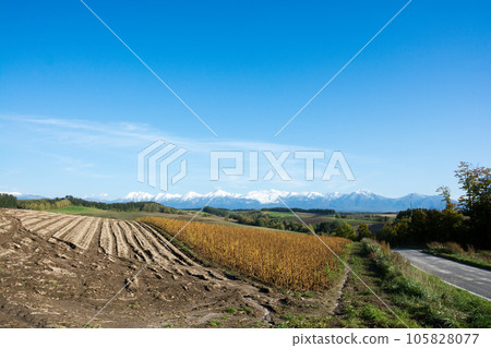 Snow-capped mountains and autumn farming area Snow-capped mountains and autumn farming area 105828077