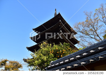 Kyoto in spring, Japan Yasaka Pagoda, beautiful cherry blossoms and blue sky 105828190