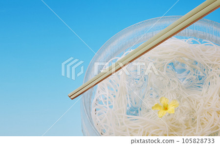 Somen Somen Studio Shot Somen Somen Studio Shot 105828733