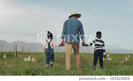 Family, holding hands and a dad walking on a farm with his children for agriculture or sustainability. Back, farming an a father with his kids in the meadow as a cow farmer in the natural countryside Family, holding hands and a dad walking on a farm with his children for agriculture or sustainability. Back, farming an a father with his kids in the meadow as a cow farmer in the natural countryside 105828808