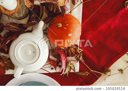 Stylish thanksgiving autumn table decor with pumpkin and dried branches Stylish thanksgiving autumn table decor with pumpkin and dried branches 105829519