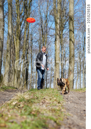 Man, dog and outdoor with flying disc for game, learning and running in woods for health, exercise or freedom. Pet animal, plastic plate and workout for body, care and adventure with games in forest 105829816