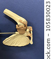 model of shoulder model of shoulder 105830023