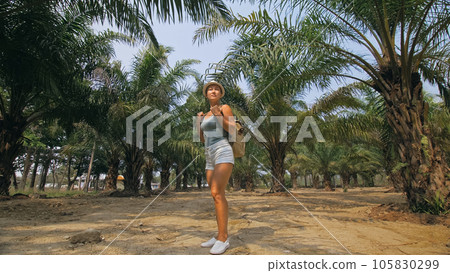 Woman tourist with plait walks looking around at growing young trees with lush leaves at oil palm farm elaeis guineensis on sunny day. 105830299