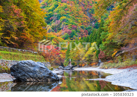 Yuze Valley (Autumn) 105830323