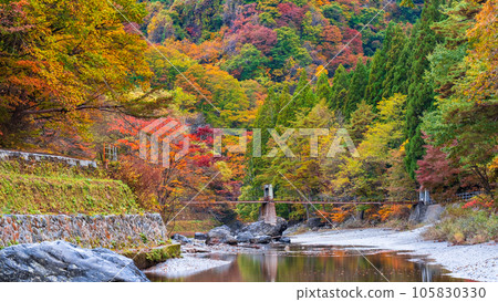 雨澤谷（秋季） 105830330
