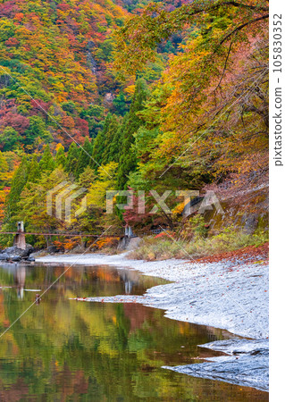 雨澤谷（秋季） 105830352