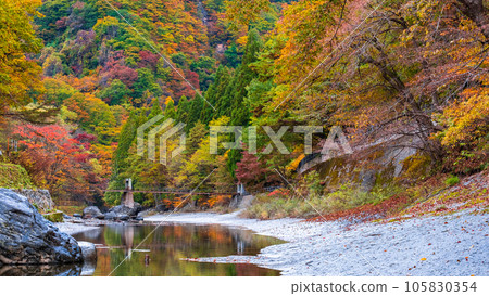 Yuze Valley (Autumn) 105830354
