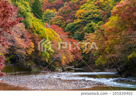 雨澤谷（秋季） 105830402