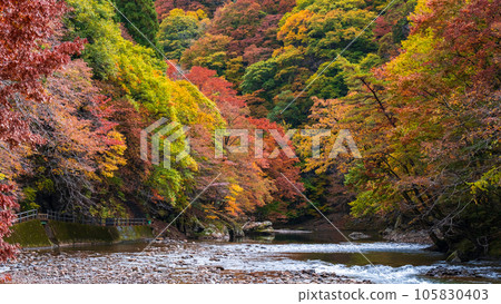 雨澤谷(秋季) 雨澤谷(秋季) 105830403