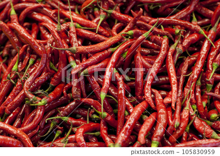 Spicy, red pepper and grocery with chillies in supermarket for organic food, shopping and health. Mexican, plant and heat with hot vegetable ingredient in store for seasoning, paprika and nutrition 105830959