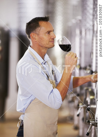 Wine, manufacturing and aroma with a man smelling a glass in a distillery for production or fermentation. Industry, steel and equipment in a plant, factory or warehouse with a male alcohol maker Wine, manufacturing and aroma with a man smelling a glass in a distillery for production or fermentation. Industry, steel and equipment in a plant, factory or warehouse with a male alcohol maker 105830987