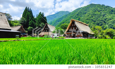 Suganuma Gassho-zukuri village in Gokayama in summer Suganuma Gassho-zukuri village in Gokayama in summer 105831247