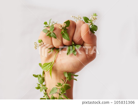 Woman hand, nature growth and fist for eco warrior, fight and revolution for sustainability protest. White background, studio and person with leaf and green plant in hands for environment rally 105831306