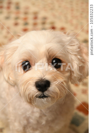 Relax and unwind in Malpu Relax and unwind in Malpu 105832233