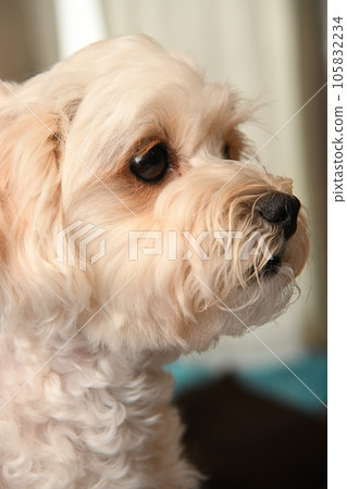 Relax and unwind in Malpu 105832234