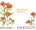Alstroemeria against a backdrop of watercolor orange flowers 105832275