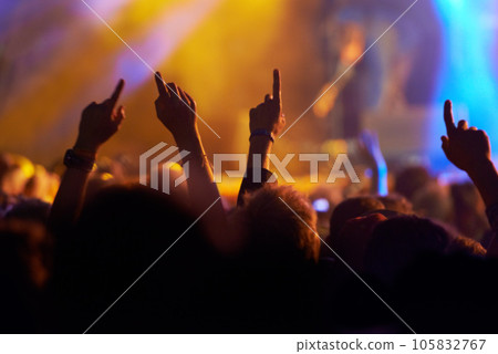 In the moment. Rear view shot of a crowd enjoying a live musical performance. 105832767