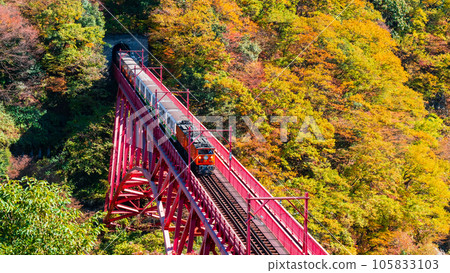 秋天的黑部峽谷:新山彥橋上行駛的小火車 秋天的黑部峽谷:新山彥橋上行駛的小火車 105833103