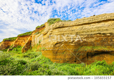 新鮮的綠色和屏風浦 105833157