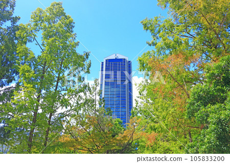 神戶市、神戶市政廳和新鮮的綠色風景 神戶市、神戶市政廳和新鮮的綠色風景 105833200