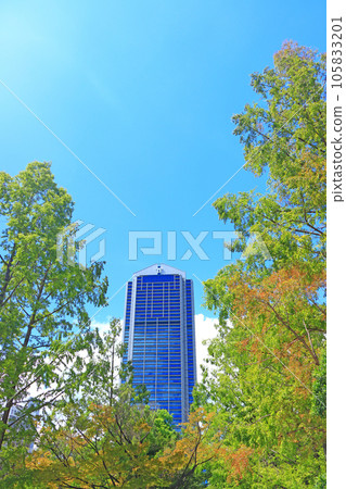 神戶市、神戶市政廳和新鮮的綠色風景 神戶市、神戶市政廳和新鮮的綠色風景 105833201