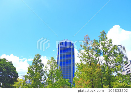 神戶市、神戶市政廳和新鮮的綠色風景 神戶市、神戶市政廳和新鮮的綠色風景 105833202