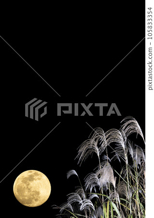 Full moon and pampas grass. Autumn night. Moon viewing. 105833354