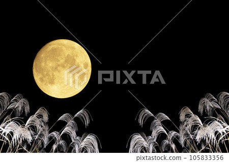 Full moon and pampas grass. Autumn night. Moon viewing. 105833356