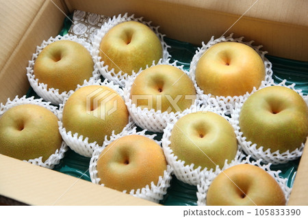 一個盒子裡的梨 105833390