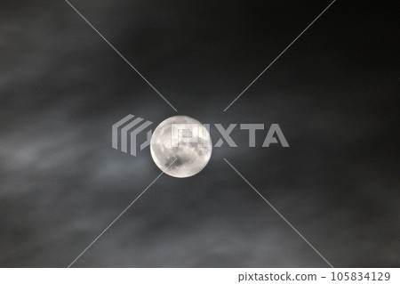 八月滿月 Stargen Moon 日本鱘魚 2023 年 8 月 2 日“滿月（2023.8）” 105834129