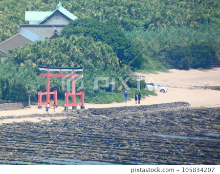 A boy looking at the sea at low tide 105834207