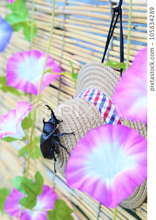 A cool picture of a straw hat with a morning glory flower hanging on a blind and a beetle on it A cool picture of a straw hat with a morning glory flower hanging on a blind and a beetle on it 105834289