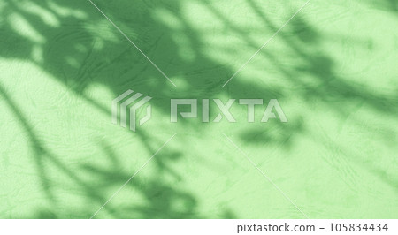 Abstract Background Shadow Leaves From window House Effect,Overlay Construction Concrete Green Cement Wall backdrop,Premium Design Mock up Banner Card Poster for Presentation Environment concept. 105834434