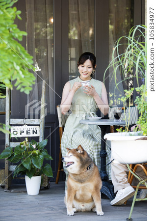 Dock cafe terrace Young woman Shiba Inu Dock cafe terrace Young woman Shiba Inu 105834977