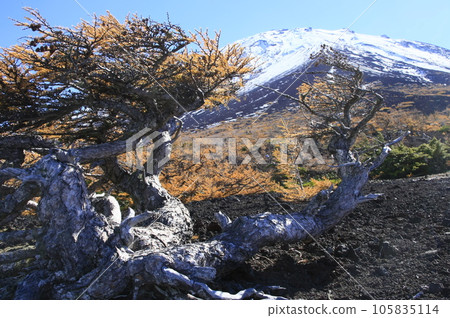 Spectacular view from the garden 105835114