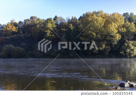 Trees and fog in the morning in autumn Trees and fog in the morning in autumn 105835545