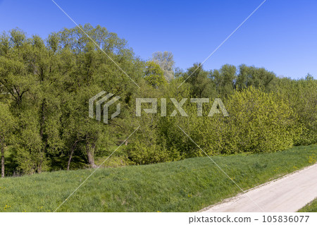 unpaved road in rural areas in spring, unpaved road unpaved road in rural areas in spring, unpaved road 105836077