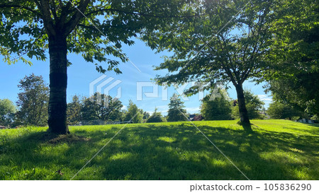 Under the shade Under the shade 105836290