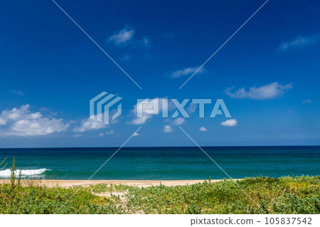 Seasight 105837542
